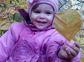 осенняя прогулка в лесу