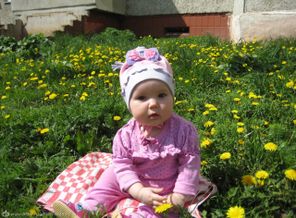 котёнок в одуванчиках))