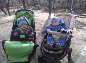 image (3)