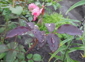 DSCN1635