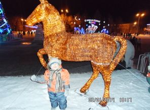 SAM_6868