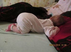 IMG_0584