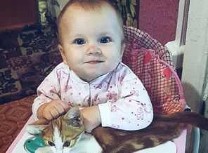 Вот так мы любим котиков))
