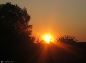 IMG_1428