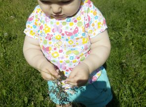IMG_20150624_100753