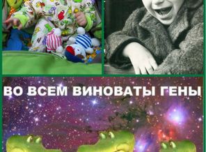 Во всем виноваты гены!