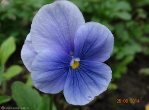 DSC00060
