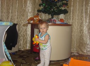 11 месяцев