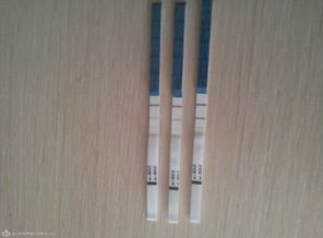 9z-GSLD9Jy8