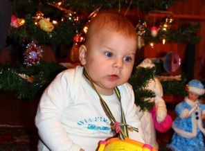IMG_2528