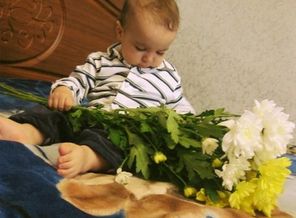 маленький джентльмен