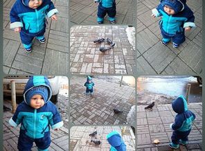 Первая встреча с голубками))))