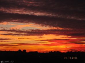 DSCF2984