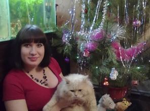 мой любимый котик