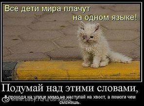 а вы этих зайчиков кормите?