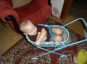 SAM_1055