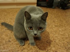 мой позитиФ