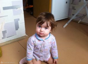 IMG_0152