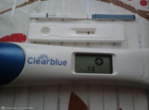 13ДПО