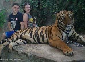 IMG_20150202_222049_41