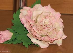 IMG_6857