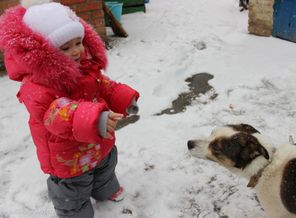 Первый раз Леруся сама бегала по снегу)))))и нашла себе мохнатого друга)))))))))))))