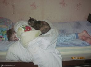 Вот так мы спим))))