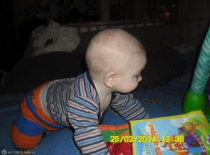 SAM_4845