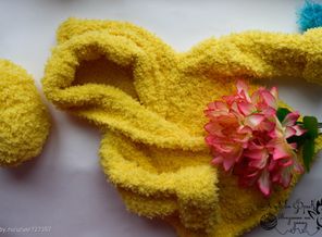 _DSC0024-1