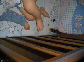найди кота!