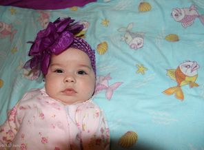 IMG_0508
