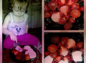image (12)