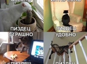 getImage (5)