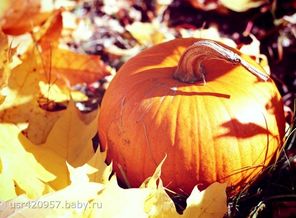 c2014-10-06T14-21-41_j7KaP