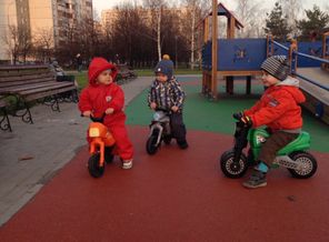 мотокроссы
