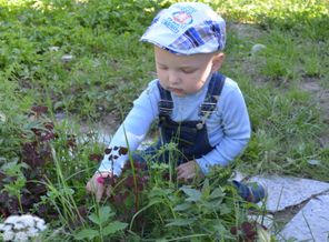 Помогаем маме полоть на даче)
