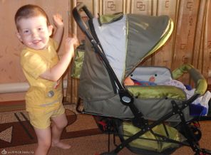 помощник мой