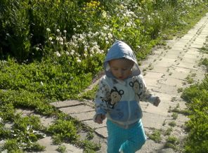 2013-05-31-2123
