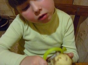 Будто медом мазаны Кругленькие щечки И так вкусно целовать их У любимой дочки!