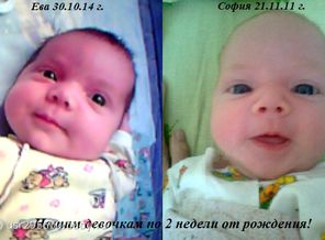 20 день (2)
