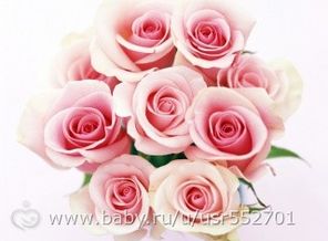 flowers_beauty_40-320x240