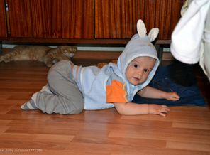 "Кот! Вылезай, я свой!)
