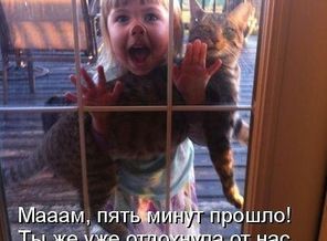 getImage24356