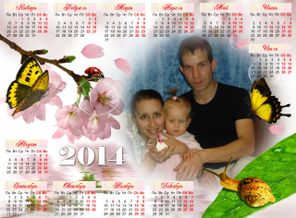 21143213_webka