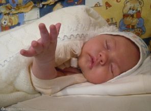 SAM_0803