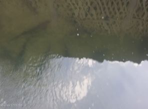 20150628_172534