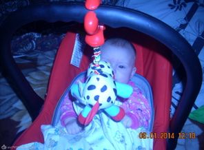 DSCN2085