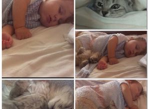 MyCollage_4