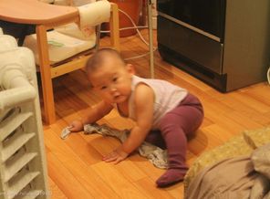 IMG_8155