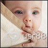 IMG_2887p